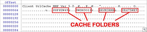 Digital Detective NetAnalysis INDEX.DAT Forensic Analysis