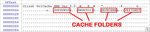 Digital Detective NetAnalysis INDEX.DAT Forensic Analysis