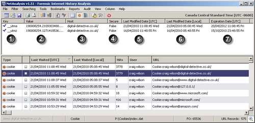 NetAnalysis Showing Cookie Decoder