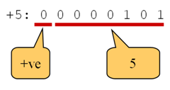 Positive_Binary_Number