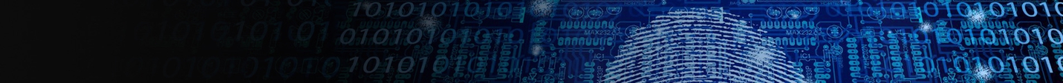 Free Digital Forensic Tools - Digital Detective