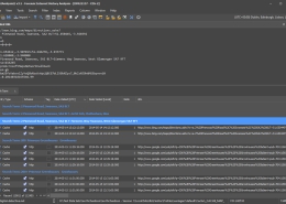 Browser Forensic Analysis Grouping by Search Term in NetAnalysis