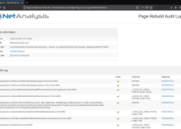 Digital Detective NetAnalysis Page Rebuild Audit Log