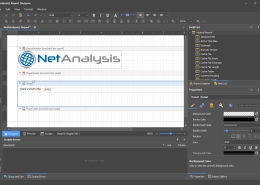 Digital Detective NetAnalysis Report Designer