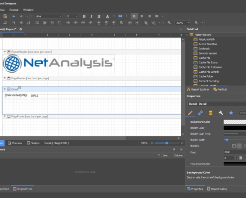 Digital Detective NetAnalysis Report Designer