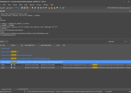 NetAnalysis Search Term Grouping and Search Highlight