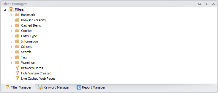 Digital Detective NetAnalysis® showing the filter manager and filters