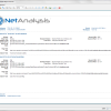 Digital Detective NetAnalysis® report preview screen
