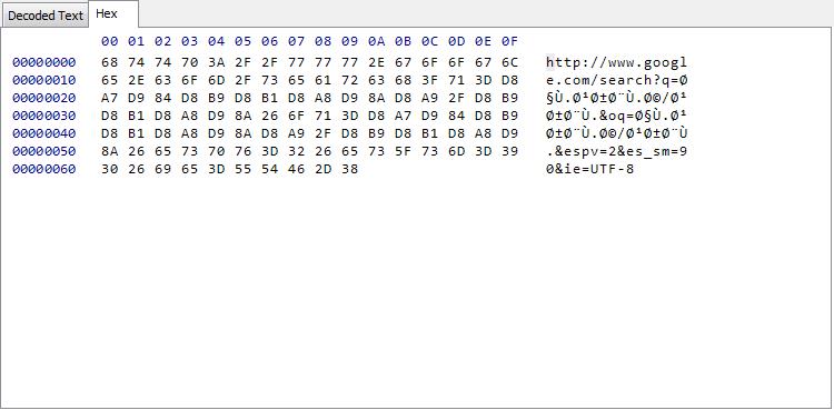 Digital Detective NetAnalysis® data analysis screen hex viewer