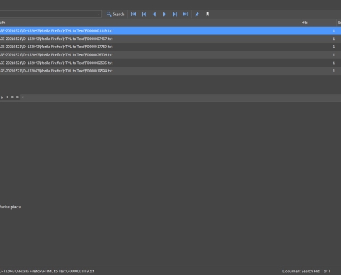 Web Browser Evidence Search Index in NetAnalysis