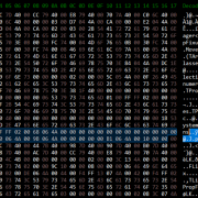 Hex viewer showing some highlighted bytes