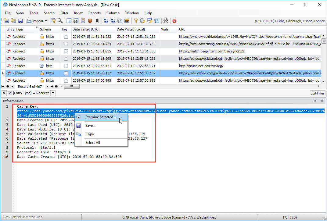 NetAnalysis showing text selected from the Information Panel
