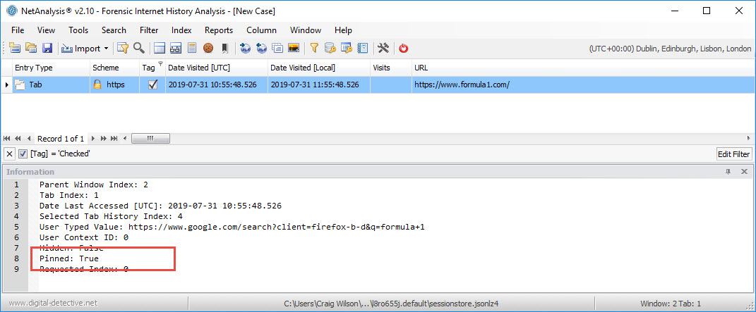 NetAnalysis Showing a Pinned Tab Entry from a SessionStore File