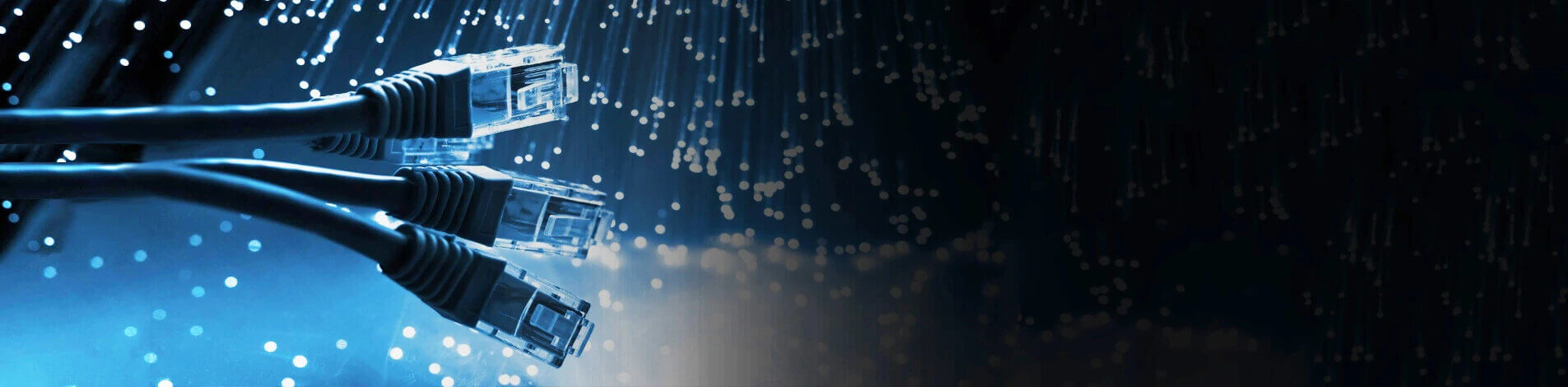 Network cables and fibre optics