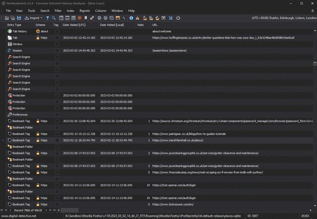 NetAnalysis® Filtering and Viewing Cached Web Pages