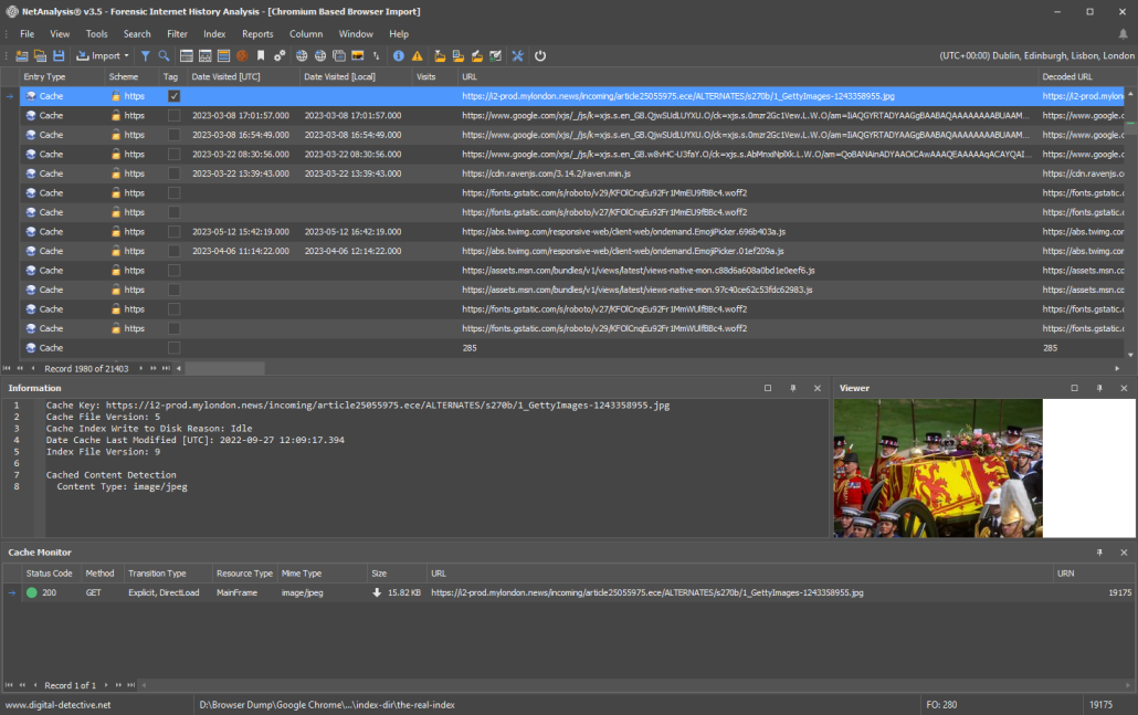 NetAnalysis® showing Analysis of Browser Data and Viewing Cached Page Metadata