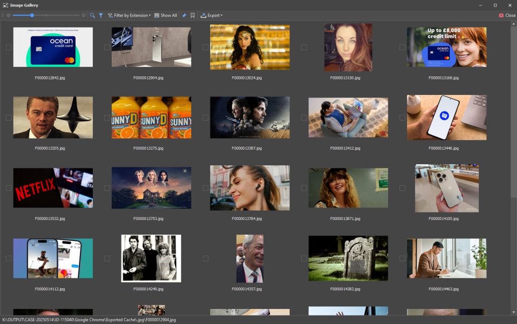 Digital Detective NetAnalysis Showing the New Image Gallery
