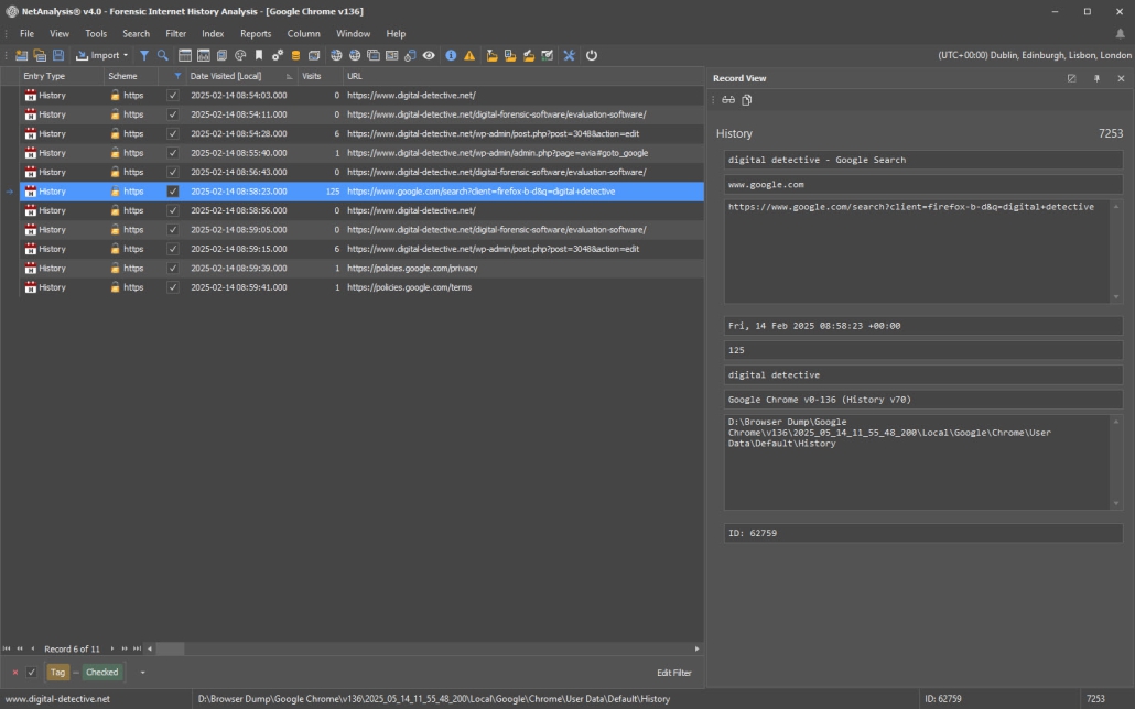 Digital Detective NetAnalysis showing the New Record View